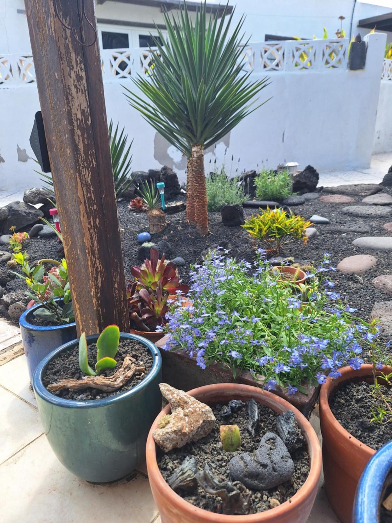 Casita Pequena Lanzarote Villa Teguise  Eksteriør billede